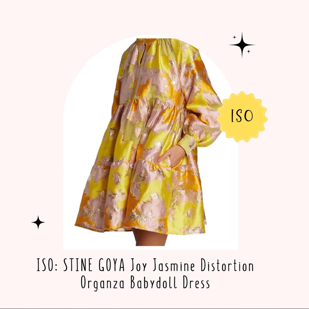 ISO: STINE GOYA Joy Jasmine Distortion Organza Babydoll Dress